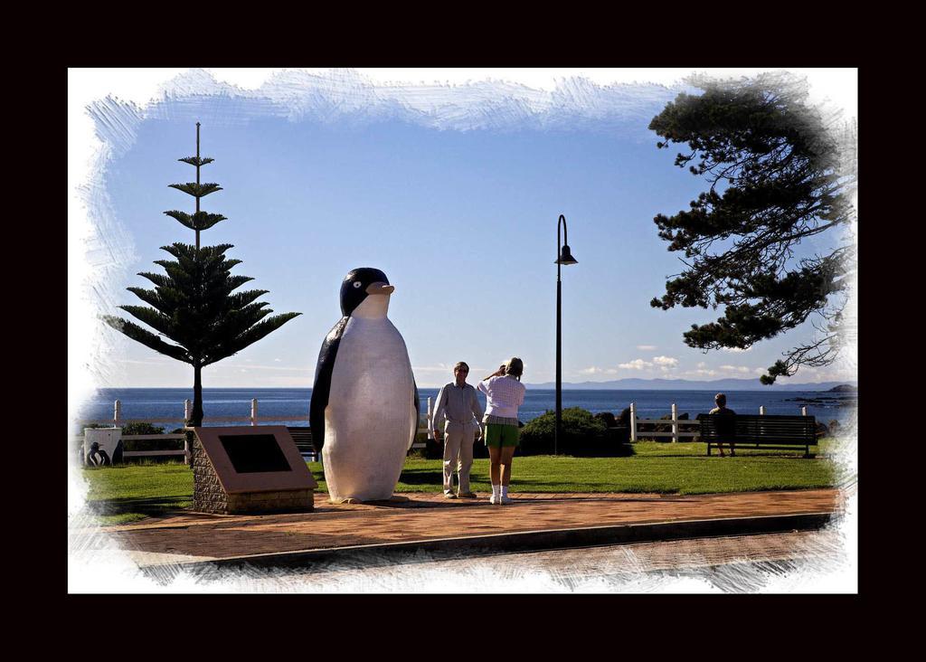 Penguin Beachfront Apartments Exteriér fotografie
